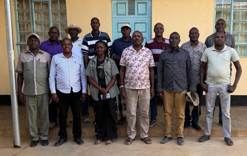 Board