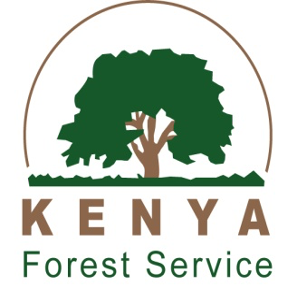 KFS LOGO KFS LOGO