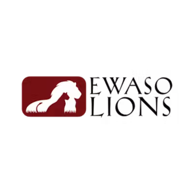 ewaso-lions
